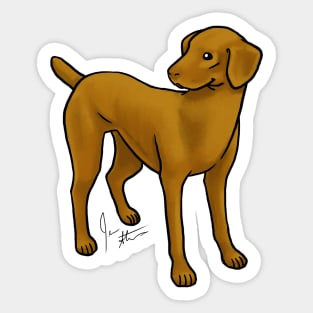 Dog - Vizsla - Smooth Coat Sticker